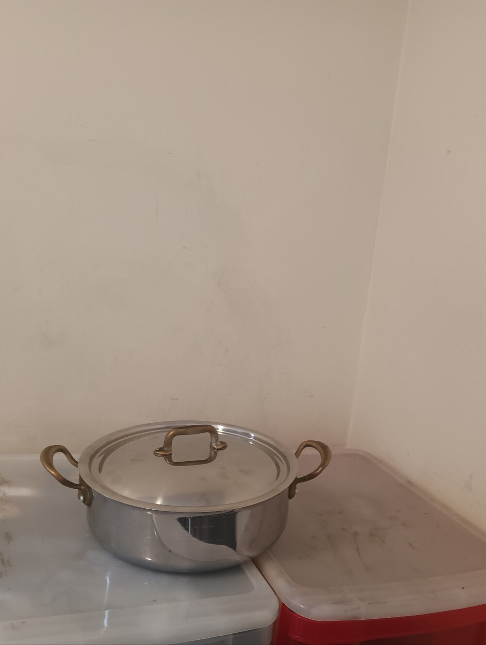 Stainless Steel Covered Rondeau Pan with Brass-Tone Handles - Silver